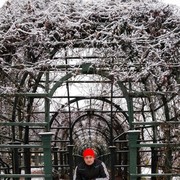 ���������� �������, ���� ������� ���������, 44 ����, ������������ ��� ������, ����� � ���������, c�������� ���������