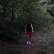 ���������� ���������, ���� ����� Nuralim, 24 ����, ������������ ��� ������, ����� � ���������