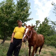  ,       , 53 ,   