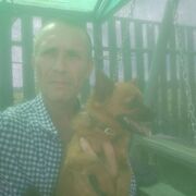 ���������� ������, ���� ������� �������, 50 ���, ������������ ��� ������, ����� � ���������