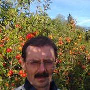 ���������� �����������, ���� ������� ������, 60 ���, ������������ ��� ������, ����� � ���������, c�������� ���������