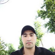  ,   Kamoll, 33 ,   ,   , c , 