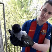 ���������� �����-���������, ���� ������� �������, 36 ���, ������������ ��� ������, ����� � ���������, c�������� ���������