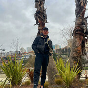 ���������� ������, ���� ����� ����, 24 ����, ������������ ��� ������, ����� � ���������