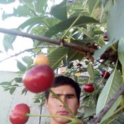  ,   , 36 ,   ,   , c 