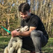 ���������� �������, ���� ������� ������, 27 ���, ������������ ��� ����� � ���������, c�������� ���������