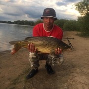 ���������� �������, ���� ������� �������, 44 ����, ������������ ��� ������, ����� � ���������, c�������� ���������