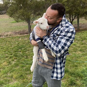 ���������� Ha, ���� ������� Stephen, 50 ���, ������������ ��� c�������� ���������, ���������