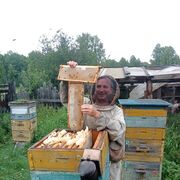 ���������� ����������, ���� ������� �������, 49 ���, ������������ ��� ������, ����� � ���������, c�������� ���������, ���������