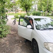 ���������� �������, ���� ������� �������, 50 ���, ������������ ��� ���������