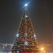 ���������� �������, ���� ������� �����, 48 ���, ������������ ��� c�������� ���������