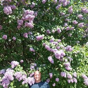  ,   , 43 ,   ,   , c , 