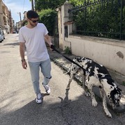 ���������� ������, ���� ������� ������, 42 ����, ������������ ��� ������, ����� � ���������, c�������� ���������