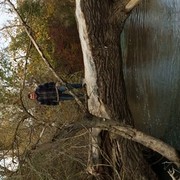 ���������� ����, ���� ������� �������, 53 ����, ������������ ��� ������, ����� � ���������, c�������� ���������