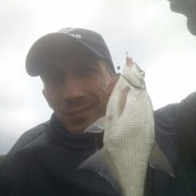 ���������� �����, ���� ������� �������, 42 ����, ������������ ��� ������, ����� � ���������, c�������� ���������