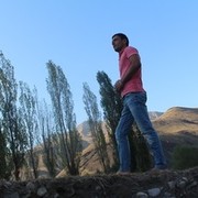  ,   Taleh, 33 ,   