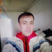 ���������� �����, ���� ������� ������, 43 ����, ������������ ��� ������, ����� � ���������, c�������� ���������