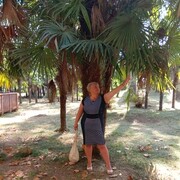  ,   , 54 ,     , c 