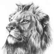 ���������� �������, ���� ������� ������, 31 ���, ������������ ��� ������, ����� � ���������, c�������� ���������, ���������