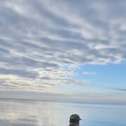 ���������� ��������-��-������, ���� ������� �����, 30 ���, ������������ ��� ������, ����� � ���������