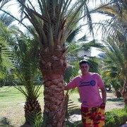 ���������� �������, ���� ������� �����, 36 ���, ������������ ��� ������