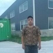 ���������� �������, ������� Lion, 29