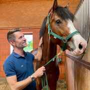 ���������� ���������, ���� ������� ������, 37 ���, ������������ ��� ����� � ���������, c�������� ���������