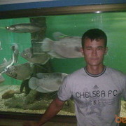  ,  Sohib, 36