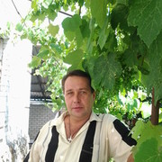   ,   , 54 ,   