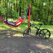 ���������� ������, ���� ������� ����, 40 ���, ������������ ��� ������, ����� � ���������