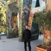 ���������� �����������, ���� ������� �������, 34 ����, ������������ ��� ������, ����� � ���������, c�������� ���������