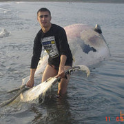 ���������� �������, ���� ������� Sardorchik, 36 ���, ������������ ��� ����� � ���������, c�������� ���������, ���������