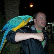 ���������� ������, ���� ������� �������, 42 ����, ������������ ��� ������