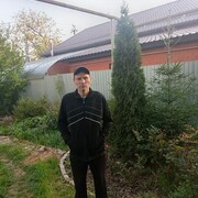  ,  , 43