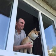 ���������� ����, ���� ������� ���������, 41 ���, ������������ ��� ������, ����� � ���������, c�������� ���������