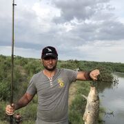 ���������� ����������, ���� ������� ������, 39 ���, ������������ ��� ������, ����� � ���������, c�������� ���������