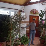  ,   , 36 ,   ,   , c 
