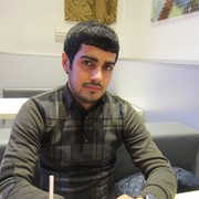 ���������� ����, ���� ������� Elvin, 36 ���, ������������ ��� ������, ����� � ���������, c�������� ���������, ���������