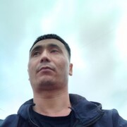 ���������� ������, ���� ������� Sadi, 31 ���, ������������ ��� ������, ����� � ���������