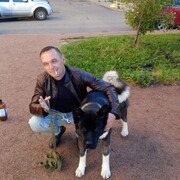 ���������� ������, ���� ������� ����, 43 ����, ������������ ��� ����� � ���������, c�������� ���������