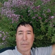  ,  , 36