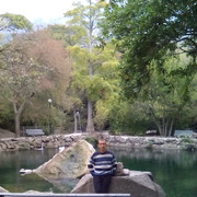 ������ ������