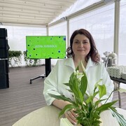  ,   , 48 ,     , c 
