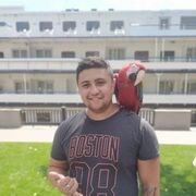 ���������� ������-��-����, ���� ������� �����, 26 ���, ������������ ��� ������, ����� � ���������