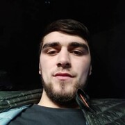  -,   Black lion, 24 ,   ,   , c , 