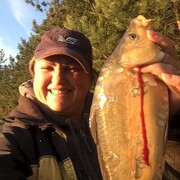 ���������� �����������, ���� ������� ���������, 47 ���, ������������ ��� ������, ����� � ���������, c�������� ���������