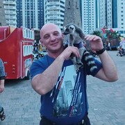  ,   , 40 ,   ,   