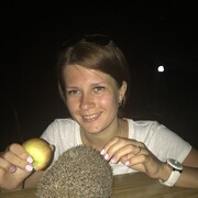 ���������� ����������, ���� ������� ���������, 38 ���, ������������ ��� ����� � ���������, c�������� ���������