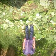 ���������� ������-��-����, ���� ������� ������, 40 ���, ������������ ��� ������, ����� � ���������