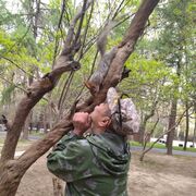 ���������� ������, ���� ������� ����������, 59 ���, ������������ ��� ������, ����� � ���������, c�������� ���������